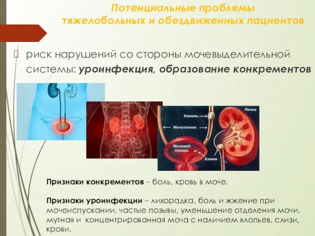 Потенциальные проблемы тяжелобольных и обездвиженных пациентов риск нарушений со стороны мочевыделительной