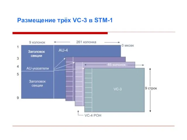 Размещение трёх VC-3 в STM-1