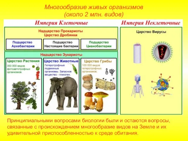 Многообразие живых организмов (около 2 млн. видов) Принципиальными вопросами биологии были