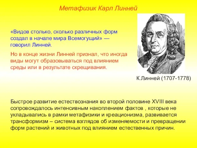 «Видов столько, сколько различных форм создал в начале мира Всемогущий» —