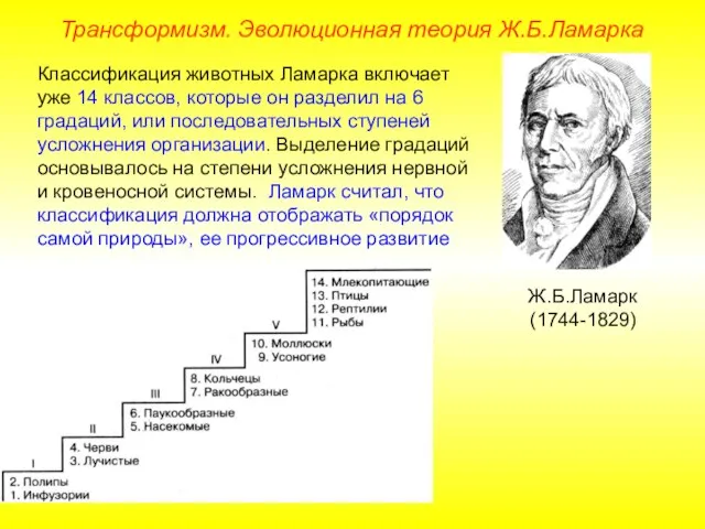 Классификация животных Ламарка включает уже 14 классов, которые он разделил на