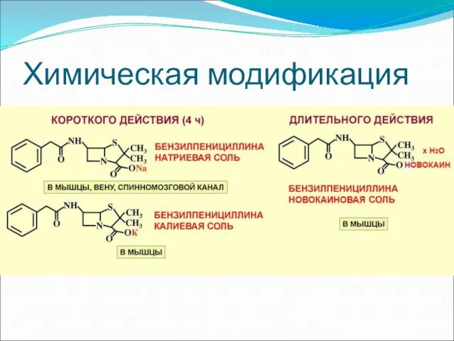 Химическая модификация