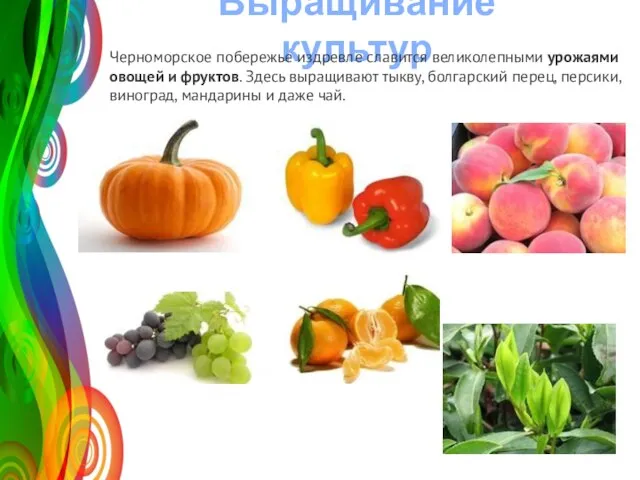 Выращивание культур Название графика 2008 2009 2010 2011 30 50 120