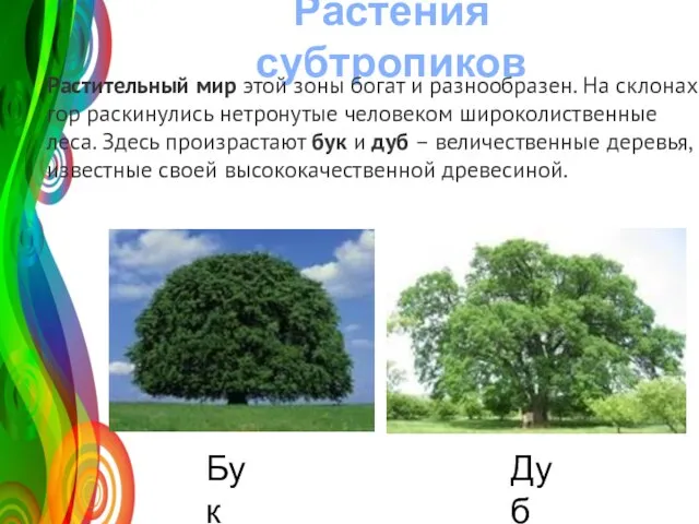 Растения субтропиков Название графика 2008 2009 2010 2011 50 120 Рас­ти­тель­ный