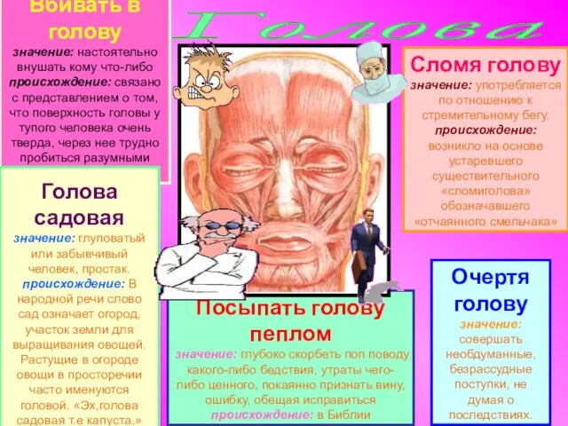 Голова Вбивать в голову значение: настоятельно внушать кому что-либо происхождение: связано