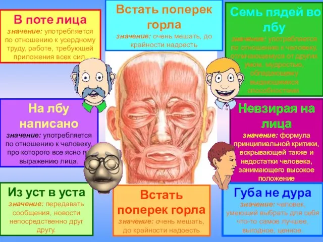 В поте лица значение: употребляется по отношению к усердному труду, работе,