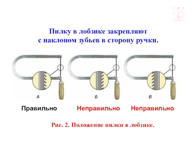 ГБОУ СОШ №45 Г. СЕВАСТОПОЛЬ Пилку в лобзике закрепляют с наклоном