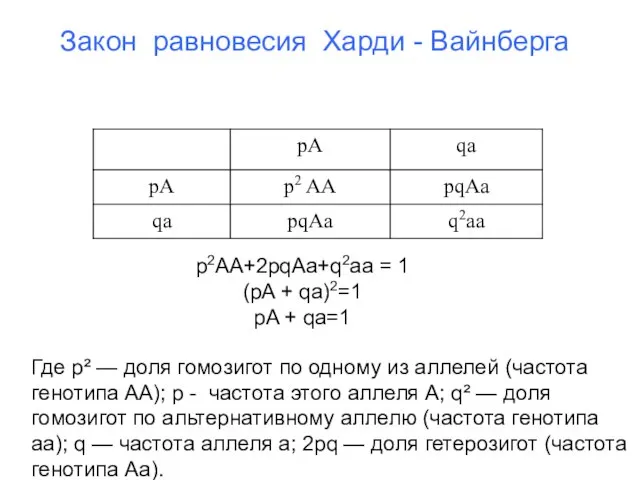 Закон равновесия Харди - Вайнберга p2AA+2pqAa+q2aa = 1 (pA + qa)2=1