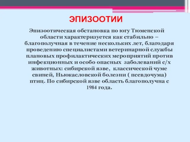 Эпизоотическая обстановка по югу Тюменской области характеризуется как стабильно – благополучная