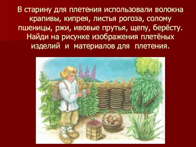 В старину для плетения использовали волокна крапивы, кипрея, листья рогоза, солому