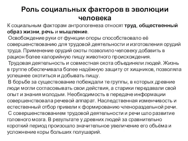 Роль социальных факторов в эволюции человека К социальным факторам антропогенеза относят