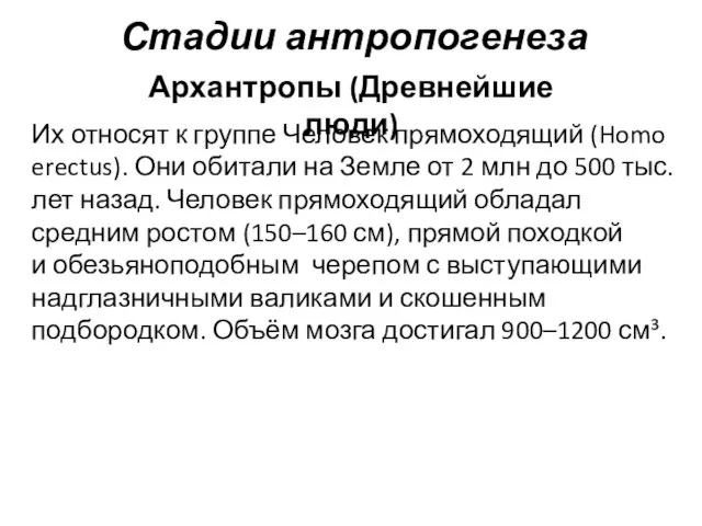 Стадии антропогенеза Архантропы (Древнейшие люди) Их относят к группе Человек прямоходящий