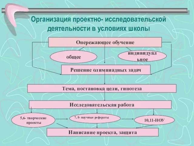 Организация проектно- исследовательской деятельности в условиях школы Опережающее обучение общее индивидуальное