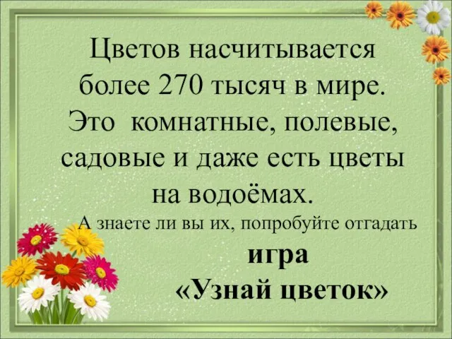 Цветов насчитывается более 270 тысяч в мире. Это комнатные, полевые, садовые