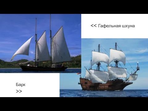 Барк >>