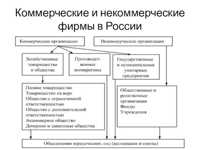 Коммерческие и некоммерческие фирмы в России