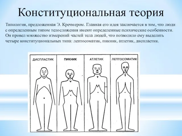 Конституциональная теория Типология, предложенная Э. Кречмером. Главная его идея заключается в