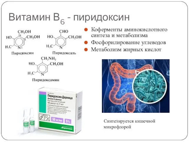 Витамин В6 - пиридоксин Коферменты аминокислотного синтеза и метаболизма Фосфорилирование углеводов