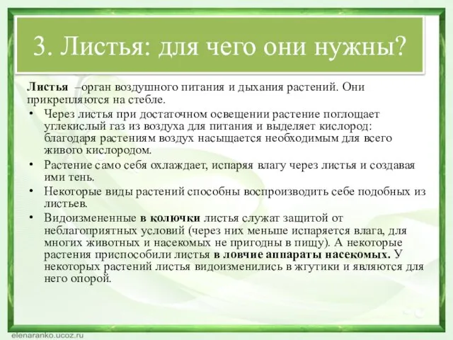 3. Листья: для чего они нужны? Листья –орган воздушного питания и