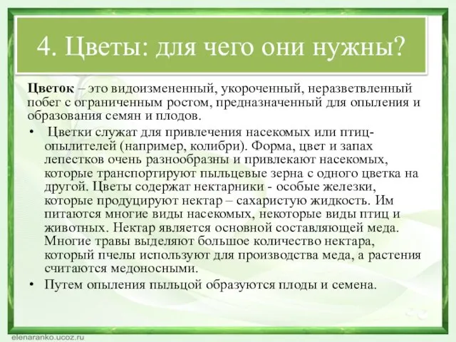 4. Цветы: для чего они нужны? Цветок – это видоизмененный, укороченный,