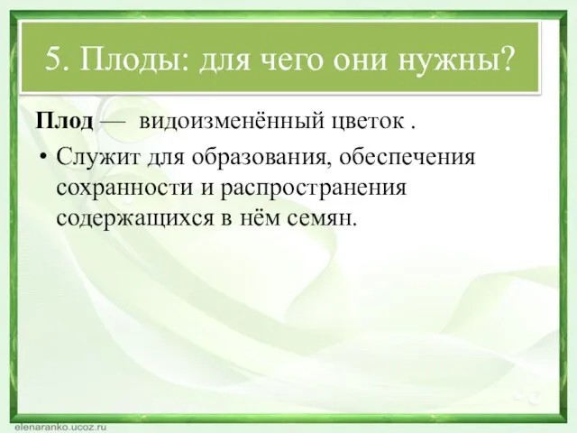 5. Плоды: для чего они нужны? Плод — видоизменённый цветок .