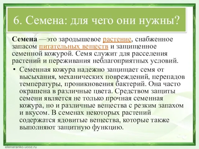 6. Семена: для чего они нужны? Семена —это зародышевое растение, снабженное