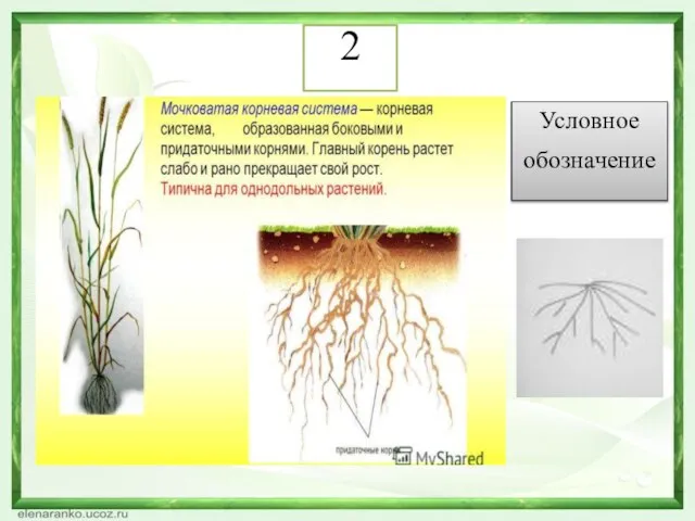 Условное обозначение 2