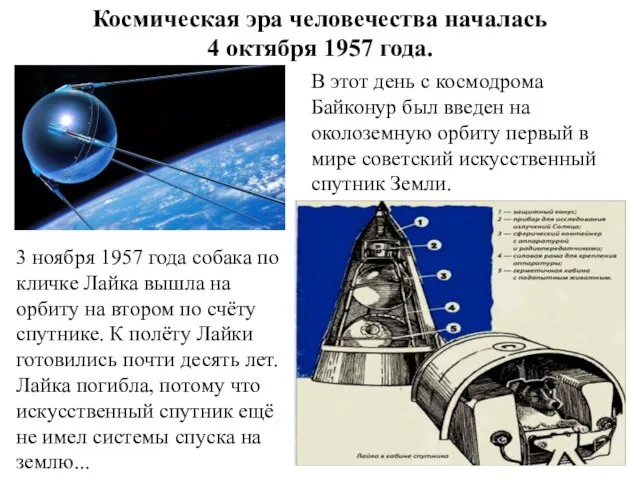 3 ноября 1957 года собака по кличке Лайка вышла на орбиту