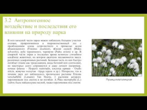 3.2 Антропогенное воздействие и последствия его влияния на природу парка В