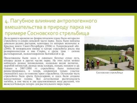 4. Пагубное влияние антропогенного вмешательства в природу парка на примере Сосновского