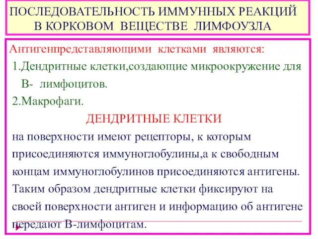 ПОСЛЕДОВАТЕЛЬНОСТЬ ИММУННЫХ РЕАКЦИЙ В КОРКОВОМ ВЕЩЕСТВЕ ЛИМФОУЗЛА Антигенпредставляющими клетками являются: 1.Дендритные