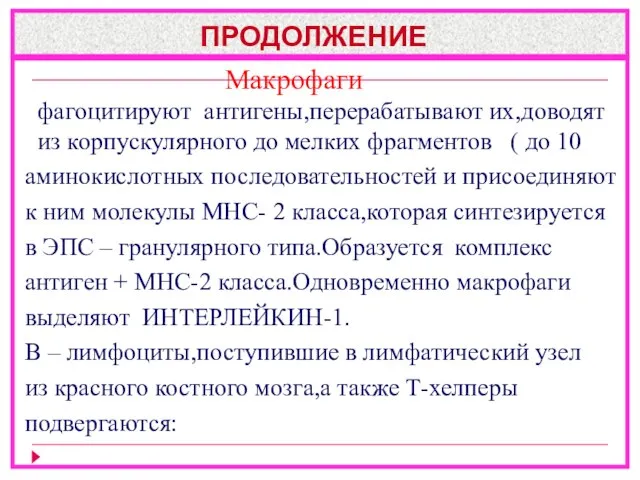 ПРОДОЛЖЕНИЕ Макрофаги фагоцитируют антигены,перерабатывают их,доводят из корпускулярного до мелких фрагментов (