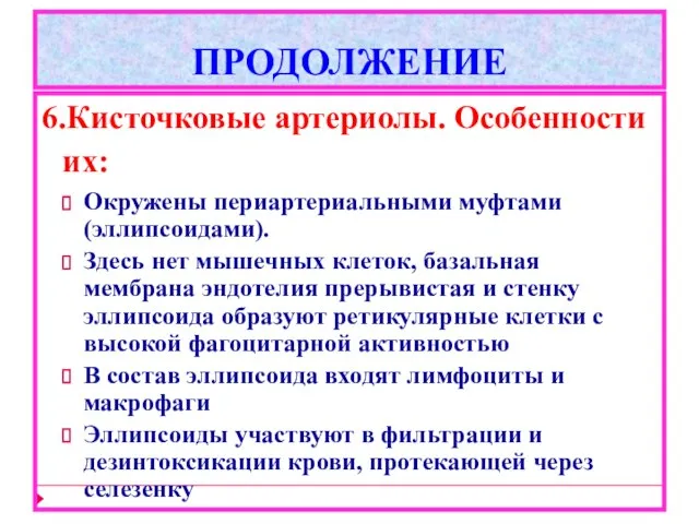 ПРОДОЛЖЕНИЕ 6.Кисточковые артериолы. Особенности их: Окружены периартериальными муфтами (эллипсоидами). Здесь нет