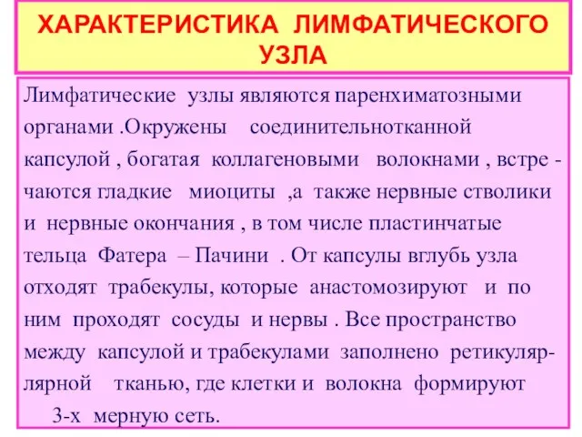 ХАРАКТЕРИСТИКА ЛИМФАТИЧЕСКОГО УЗЛА Лимфатические узлы являются паренхиматозными органами .Окружены соединительнотканной капсулой