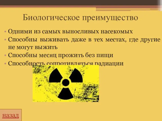 Биологическое преимущество Одними из самых выносливых насекомых Способны выживать даже в