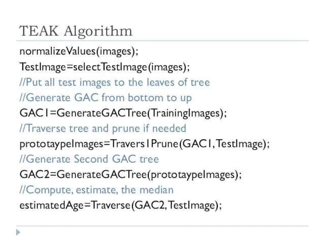 TEAK Algorithm normalizeValues(images); TestImage=selectTestImage(images); //Put all test images to the leaves