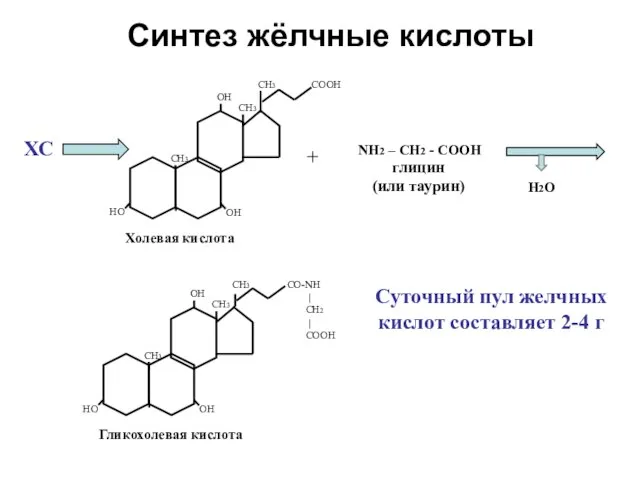 Синтез жёлчные кислоты ОН НО ОН СН3 СН3 СН3 СООН Холевая