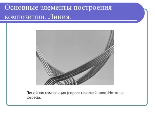 Основные элементы построения композиции. Линия. Линейная композиция (паразитический этюд) Наталья Середа.