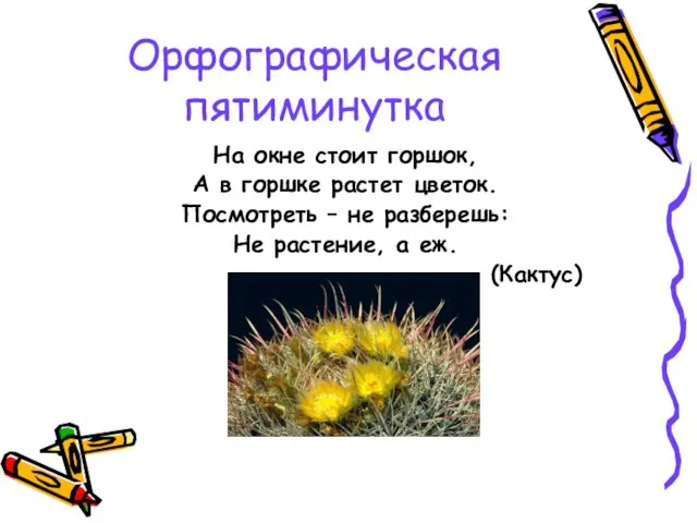 Орфографическая пятиминутка На окне стоит горшок, А в горшке растет цветок.