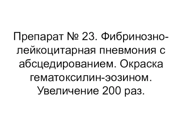 Препарат № 23. Фибринозно-лейкоцитарная пневмония с абсцедированием. Окраска гематоксилин-эозином. Увеличение 200 раз.