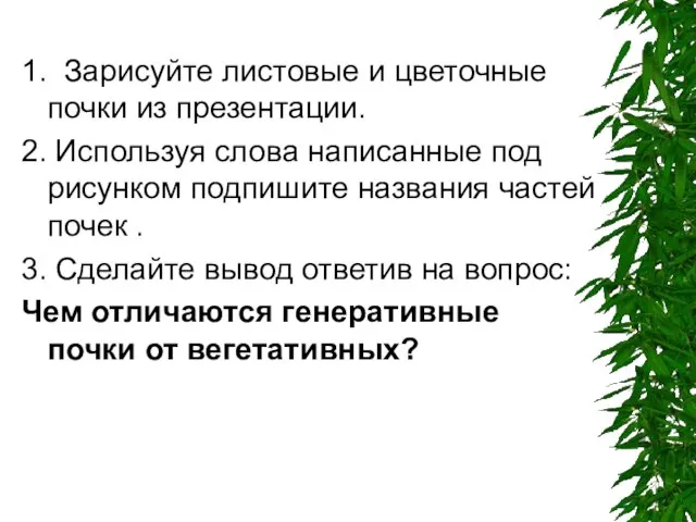 1. Зарисуйте листовые и цветочные почки из презентации. 2. Используя слова