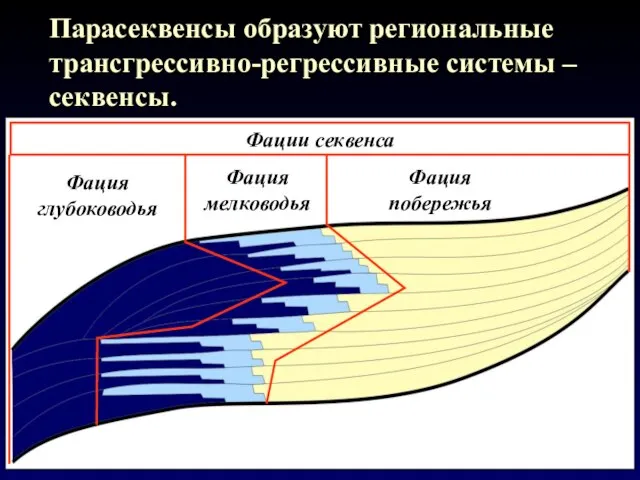 Парасеквенсы образуют региональные трансгрессивно-регрессивные системы – секвенсы.