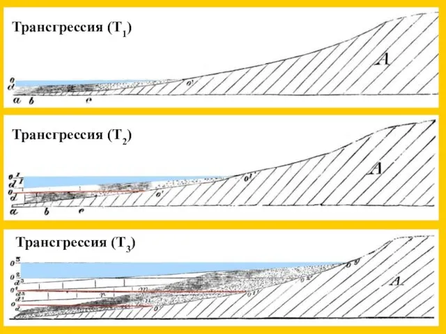 Трансгрессия (Т1) Трансгрессия (Т2) Трансгрессия (Т3)