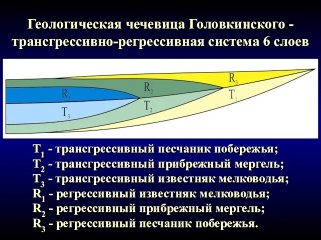 Геологическая чечевица Головкинского - трансгрессивно-регрессивная система 6 слоев T1 - трансгрессивный