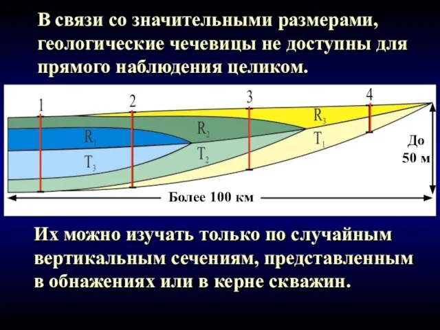 Их можно изучать только по случайным вертикальным сечениям, представленным в обнажениях