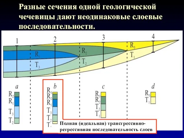 Разные сечения одной геологической чечевицы дают неодинаковые слоевые последовательности.