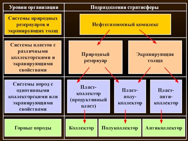 Уровни организации Системы пластов с различными коллекторскими и экранирующими свойствами Системы