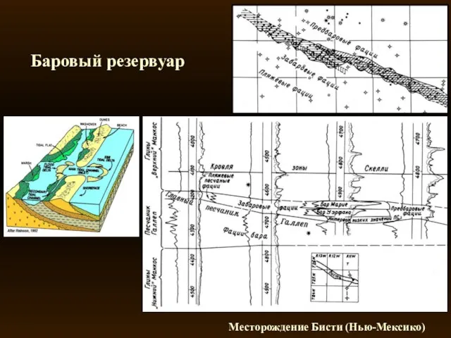 Баровый резервуар Месторождение Бисти (Нью-Мексико)