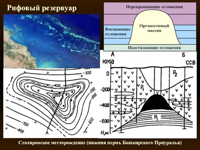 Рифовый резервуар Столяровское месторождение (нижняя пермь Башкирского Приуралья)