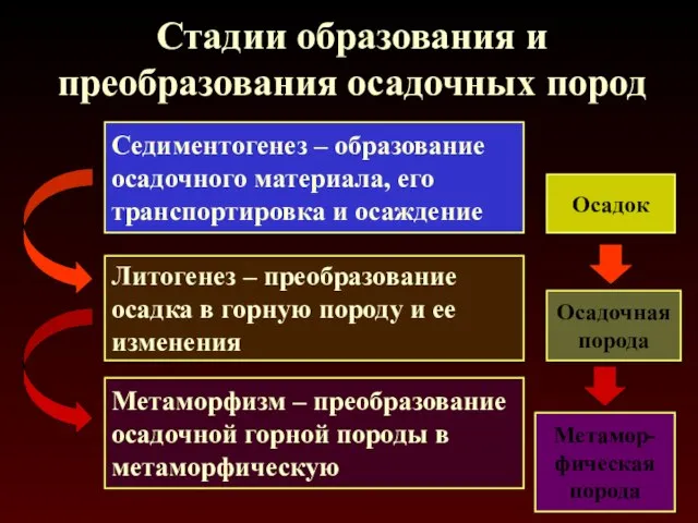 Стадии образования и преобразования осадочных пород Седиментогенез – образование осадочного материала, его транспортировка и осаждение Осадок